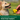 natural rubber dog toy