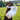 goodfordogs-tall-tails-yeti-dog-toy-closeup