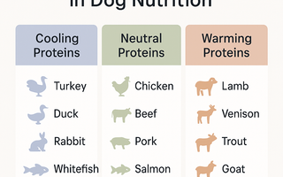 Protein Energetics in Dog Nutrition