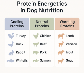 Protein Energetics in Dog Nutrition