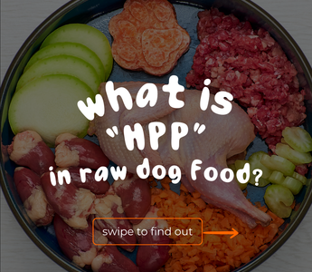 What is "HPP" in Raw Dog Food? Is it Good or Bad?