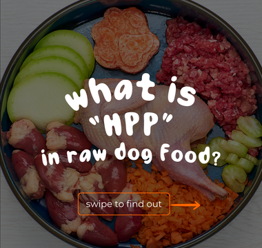 What is "HPP" in Raw Dog Food? Is it Good or Bad?