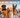A Guide to the Most Popular Dog breeds of 2025