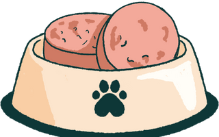 Dog bowl with a paw print contains two slices of meat.