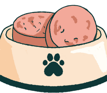 Dog bowl with a paw print contains two slices of meat.