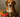 Is Your Dog's Food Hydrating or Dehydrating Them?