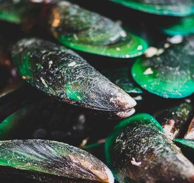 Why Dog Parents Should Give Their Dogs Green-Lipped Mussels