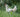 What Made Me Rethink Feeding Chicken to My Dog
