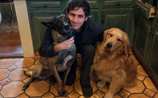 Everything You Should Know Before Getting a Puppy in Your 20s