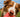 Is Watermelon Good for Dogs?