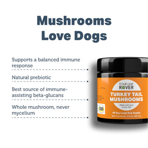 Back of Turkey Tail container showing ingredients, usage instructions, and nutritional info