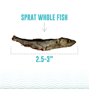 Icelandic+ Sprat Whole Fish Treats - 2 oz