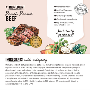 The Honest Kitchen Grain Free Beef Recipe - 2 lb