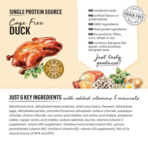 The Honest Kitchen Grain Free Limited Ingredient Duck Recipe - 10 lb