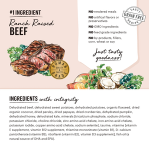 The Honest Kitchen Grain Free Beef Recipe - 7 lb