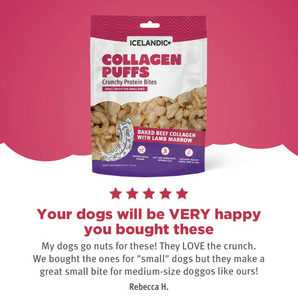 Icelandic+ Beef Collagen Puffs with Lamb Marrow - 1.3 oz