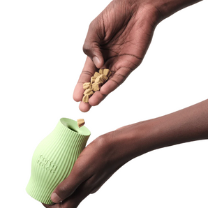 Earth Rated Treat Toy - Large