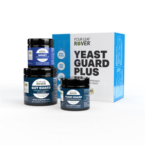 Front of Four Leaf Rover Yeast Guard Plus supplement for yeast control and gut health in dogs, available at GoodForDogs