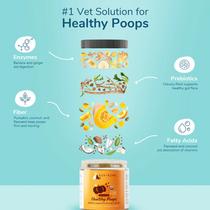 Back of Kin+Kind Healthy Poops showing ingredients, feeding instructions, and product details